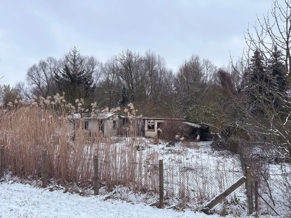 Blick auf die leerstehenden Kleingärten an der Ohre