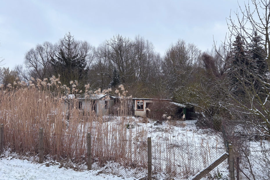 View of the Ohregaerten