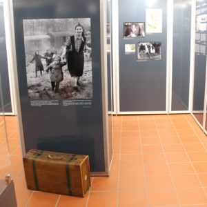 Exhibition in the museum