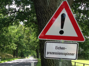 Sign Attention_Oak processionary moth