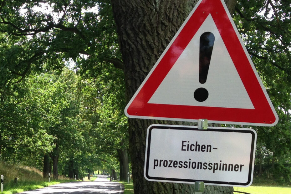 Schild Achtung_Eichenprozessionsspinner