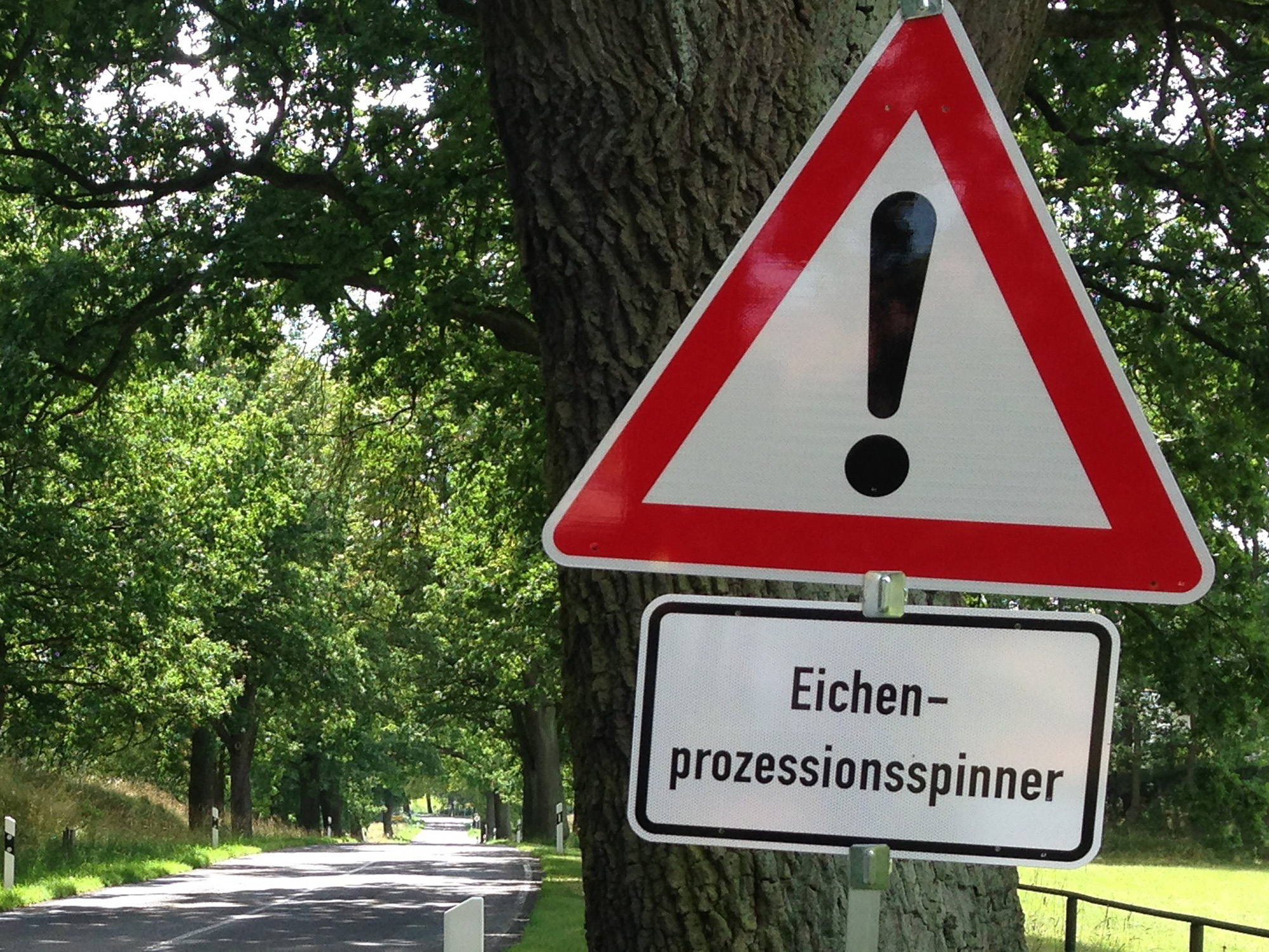 Schild Achtung_Eichenprozessionsspinner