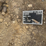 Archäologische Grabungen Wolmirstedt