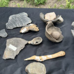 Archäologische Grabungen Wolmirstedt