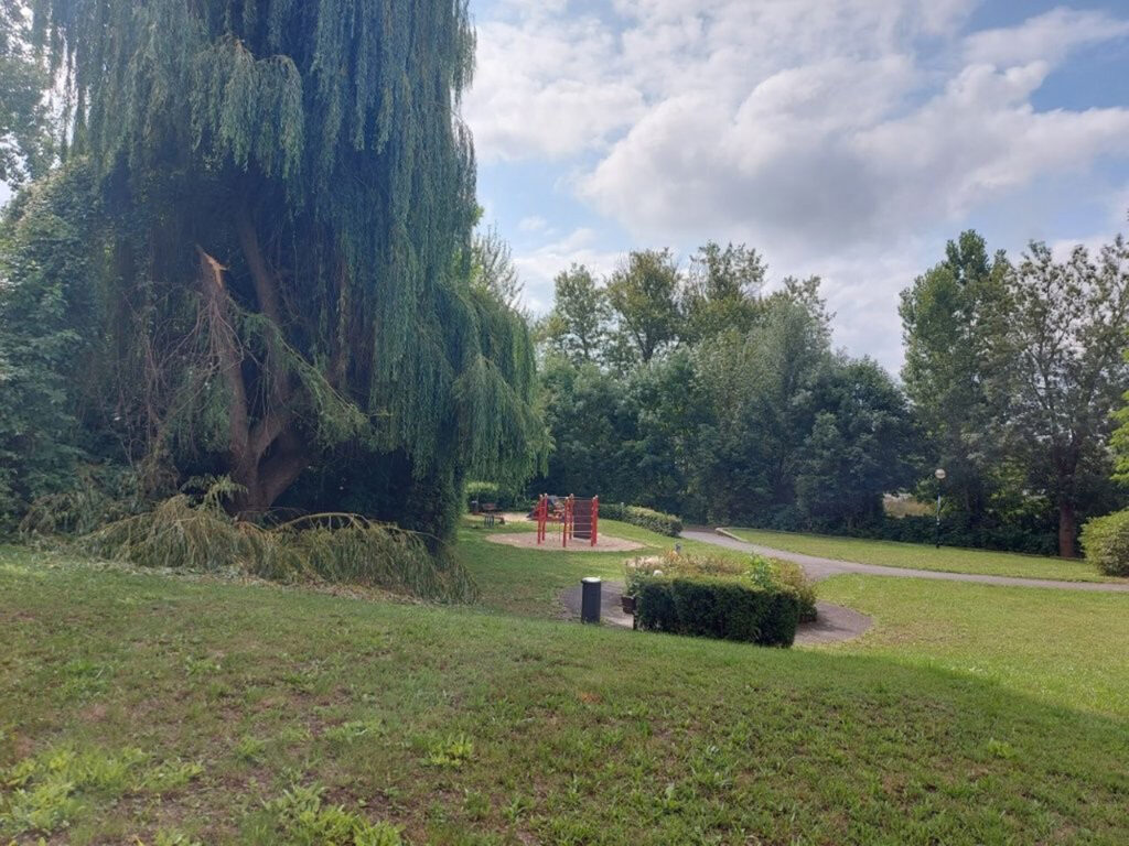Astbruch am Spielplatz Am Amtstor