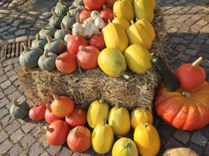 Pumpkins at the Wolmirstedt regional market