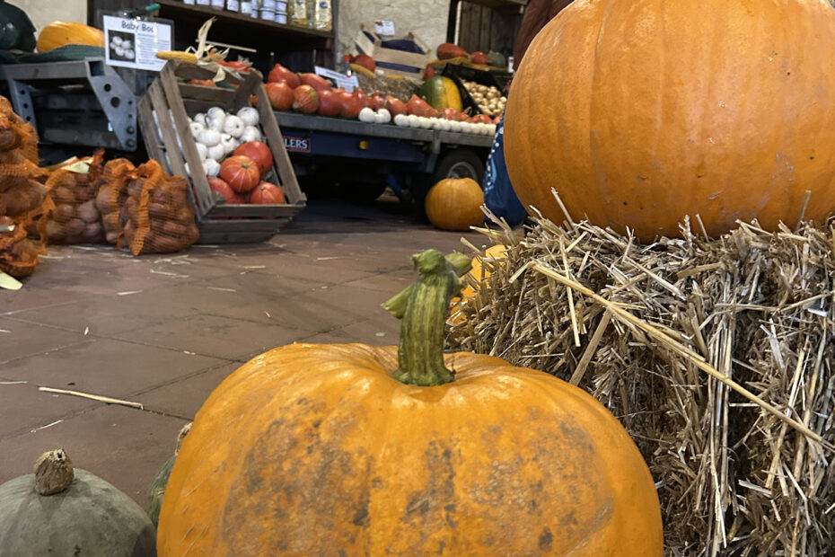 Kürbisse, Kartoffeln und mehr gab es beim Herbst-Regionalmarkt in Wolmirstedt.