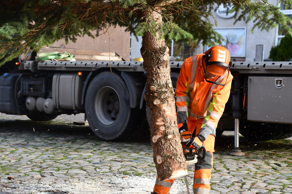 Der Baumstamm wir zugeschnitten