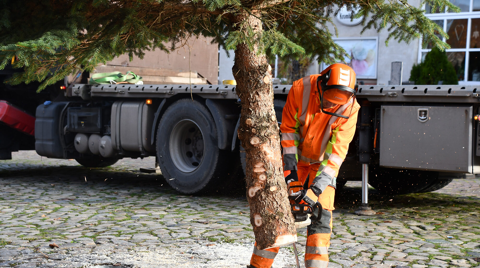 Der Baumstamm wir zugeschnitten