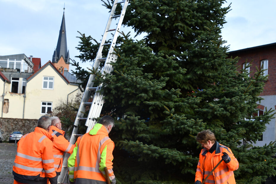 Der Weihnachtsbaum wird aufgestellt