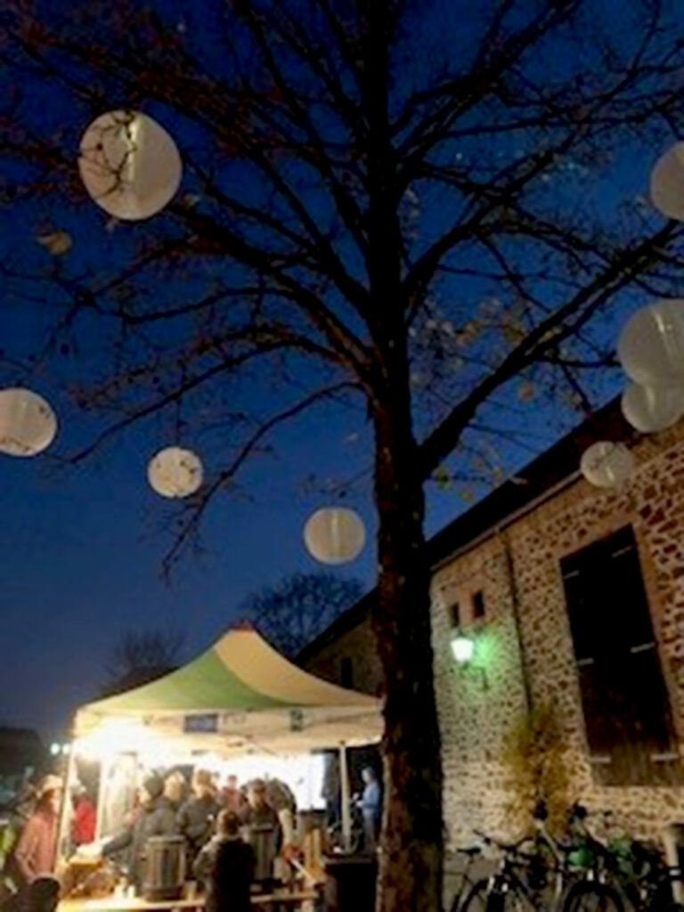 Lampions erleuchteten beim Martinsfest die Schlossdomäne.
