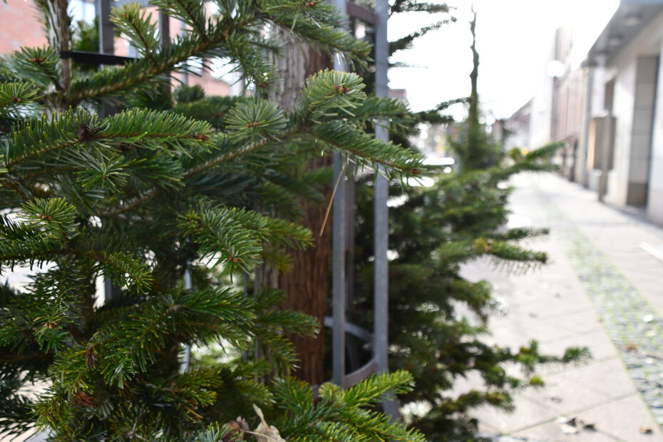 weihnachtsbaum entsorgung