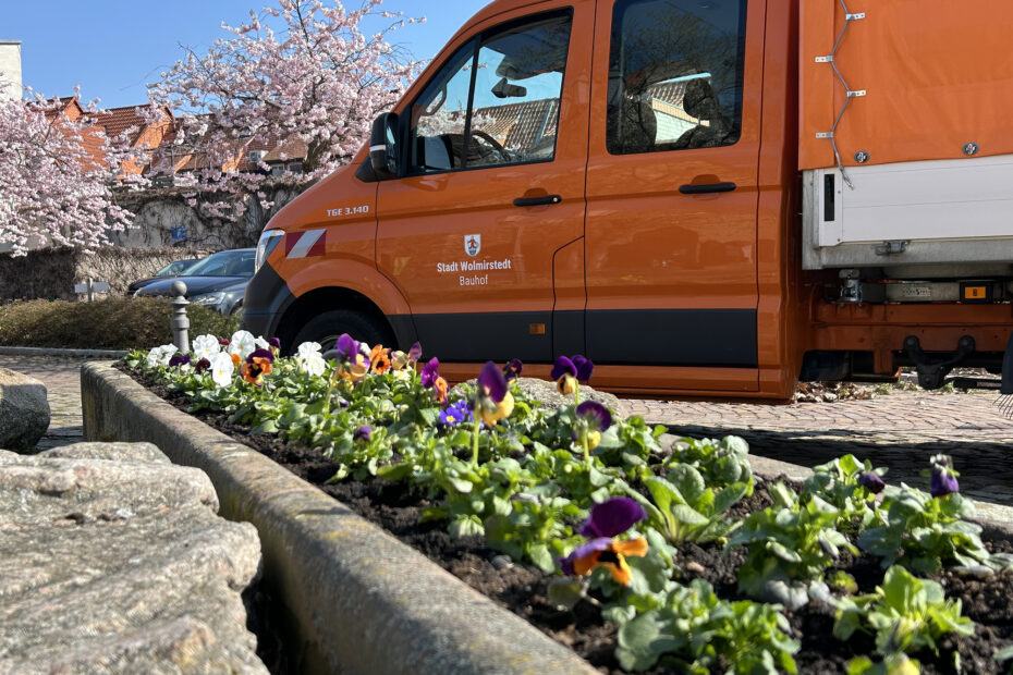 Der Bauhof pflegt die Wolmirstedter Schlossdomäne