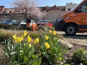 Mitarbeiter des Bauhofs beim Pflegen der Beete 2