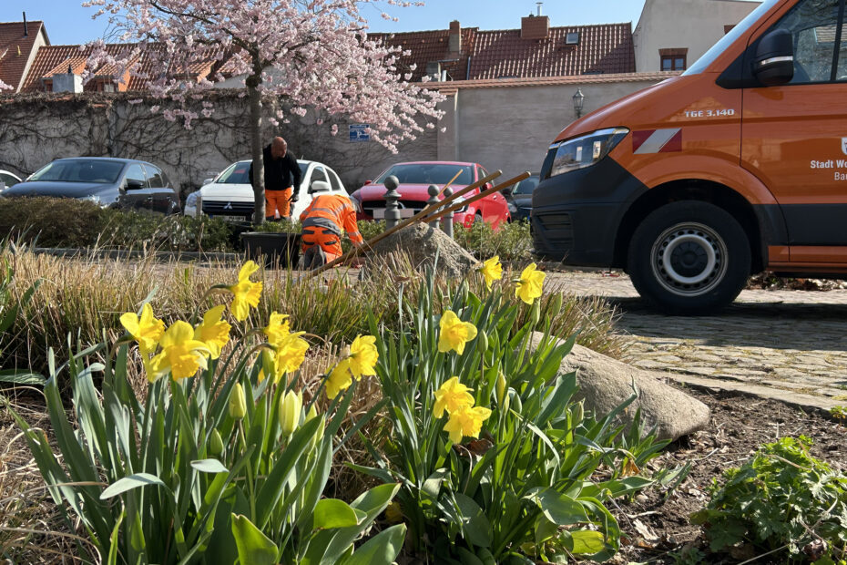 Mitarbeiter des Bauhofs beim Pflegen der Beete 2