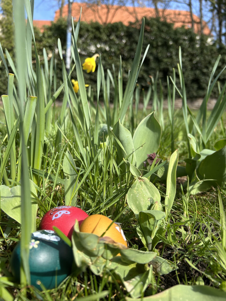 Auch entlang der Ohre grünt und blüht es zum Osterfest 2026
