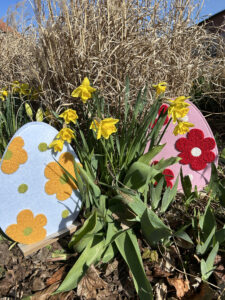 Daffodils on the castle grounds