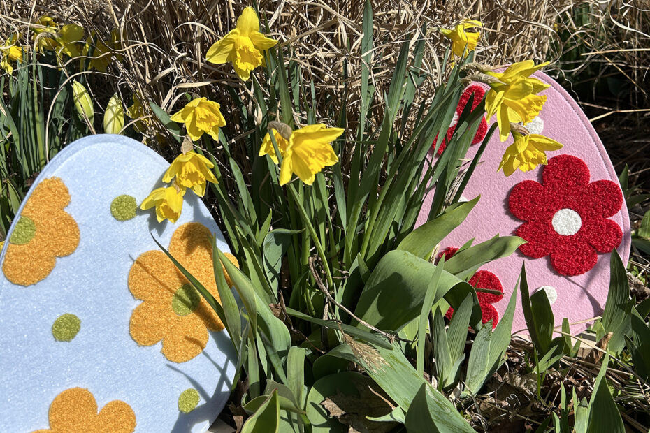 Osterglocken auf der Schlossdomäne