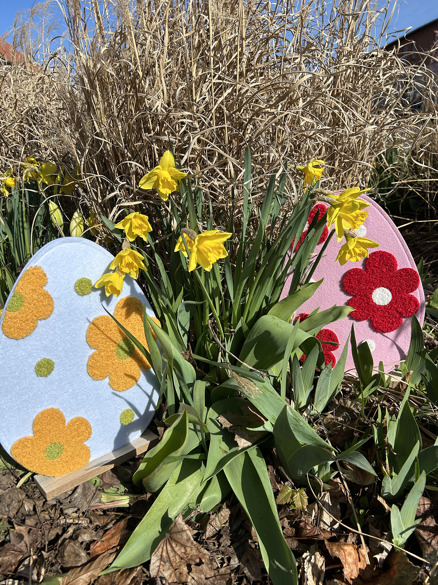 Osterglocken auf der Schlossdomäne